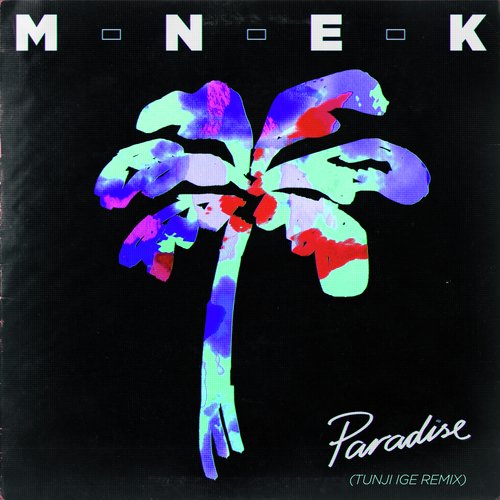 Paradise (Tunji Ige Remix) cover art