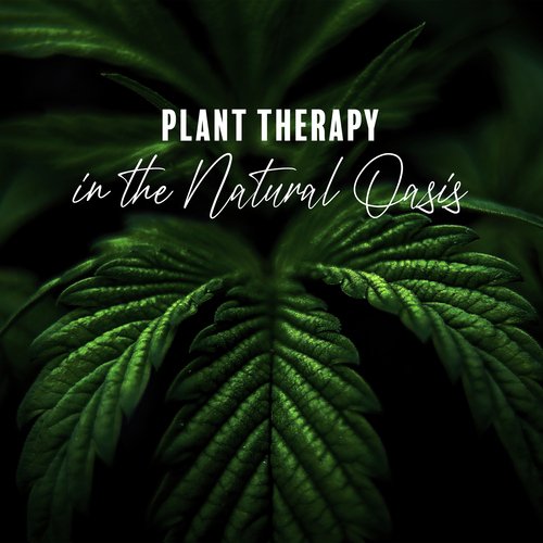 Plant Therapy in the Natural Oasis (Calmness Music, Flower Grow at Home)
