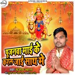 Pujanawa Mayi Ke Karal Jai Sath Me