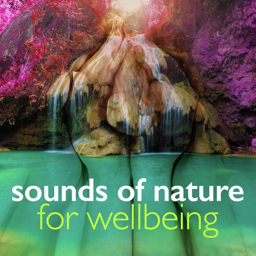 Sounds of Nature for Wellbeing