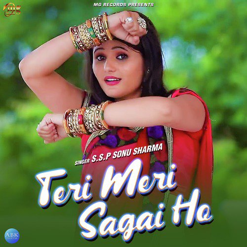 Teri Meri Sagai Ho - Single