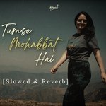 Tumse Mohabbat Hai (Slowed & Reverb)