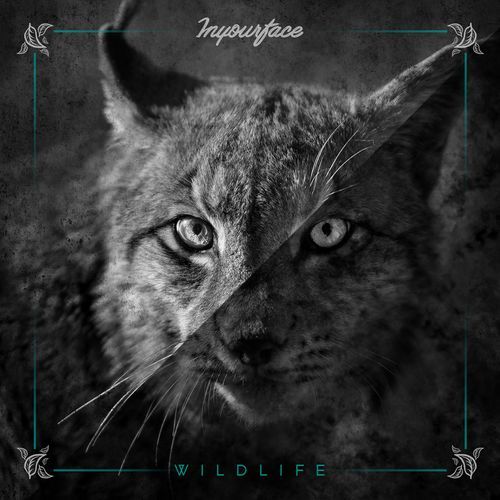Savanna cover art