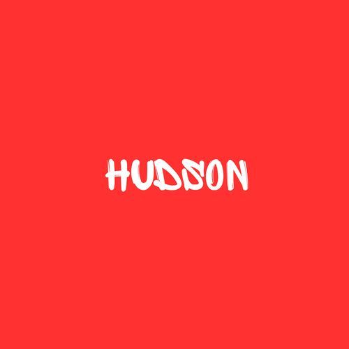 hudson cover art
