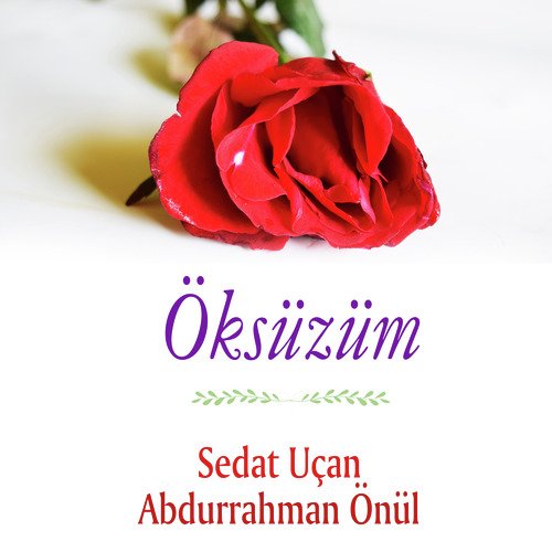 Gururlanma İnsanoğlu cover art