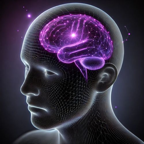 High IQ Frequency cover art