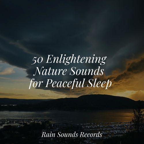 50 Enlightening Nature Sounds for Peaceful Sleep