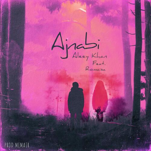 AJNABI (feat. Romaisa Tariq)_poster_image