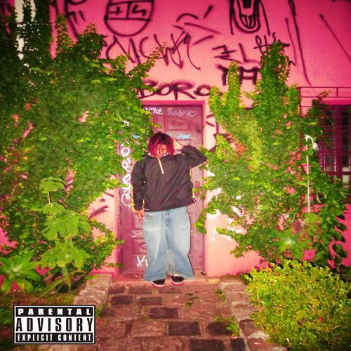 Lei da Atração cover art