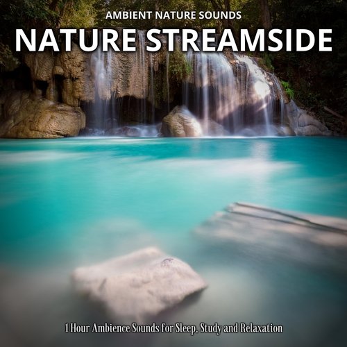 Nature's Symphony cover art