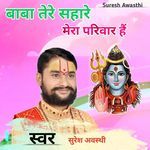 Baba Tere Sahare Mera Parivar Hai