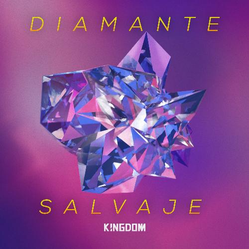 Diamante Salvaje_poster_image