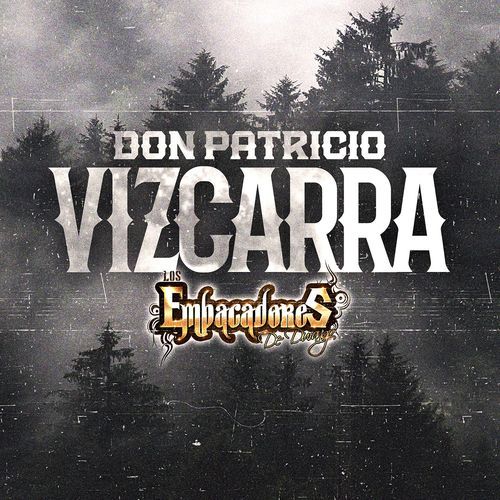 Don Patricio Vizcarra_poster_image