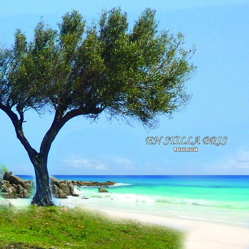 Relax cover art