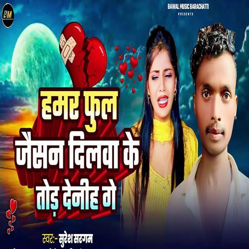 Hamar Full Jaisan Dilwa Ke Tod Denhi Ge