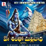Hey Shambho Mallinatha