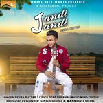Jandi Jandi