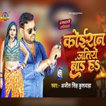 Koiran jatiye Brand H