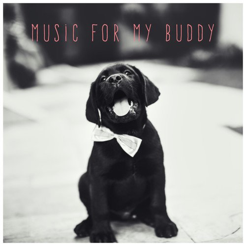 Music for My Buddy