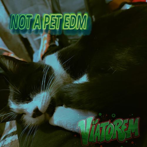 NOT A PET (EDM)