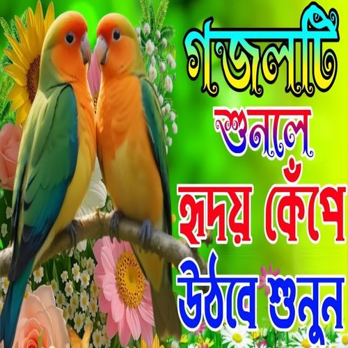Nabi Amar Dukkher Sathi