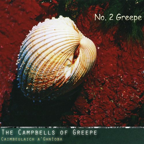 Seinneam Cliù Nam Fear Ùr cover art