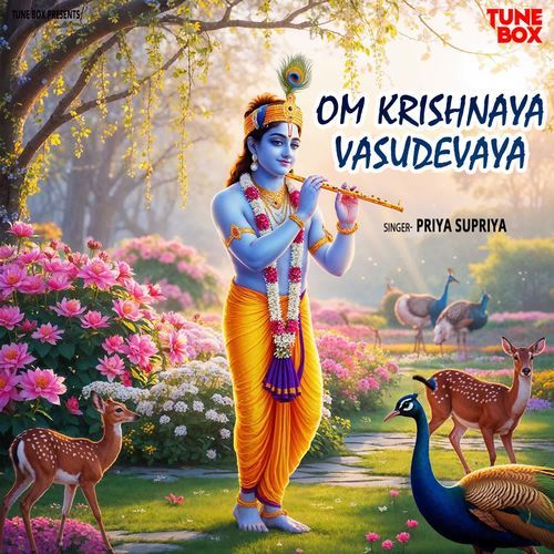 Om Krishnaya Vasudevaya