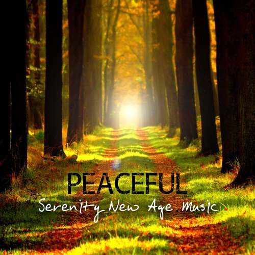 Peaceful Serenity New Age Music - Relaxing Instrumental Songs for Salon, Spa & Wellness Center
