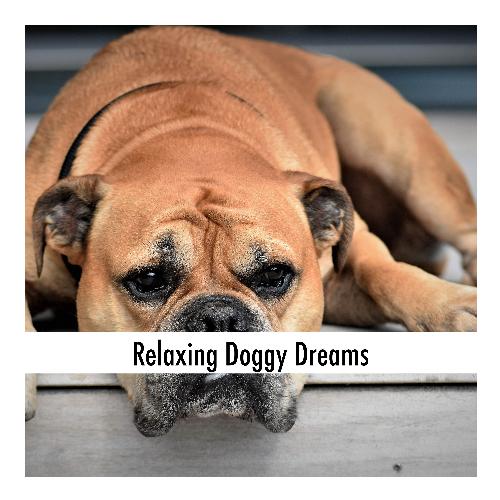 Dog Chillout cover art
