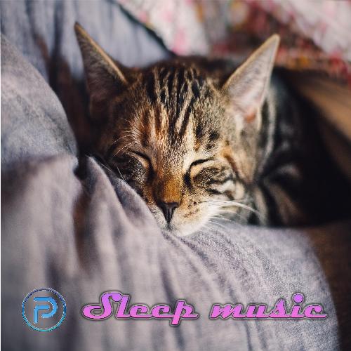 Relaxing Sleep Music_poster_image