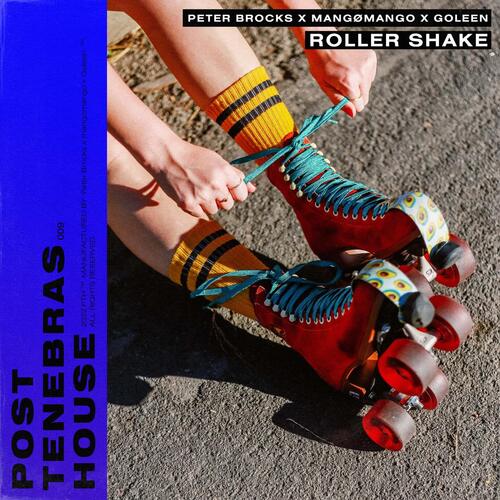 Roller Shake_poster_image