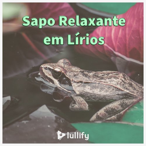 Sapo incrível na natureza cover art