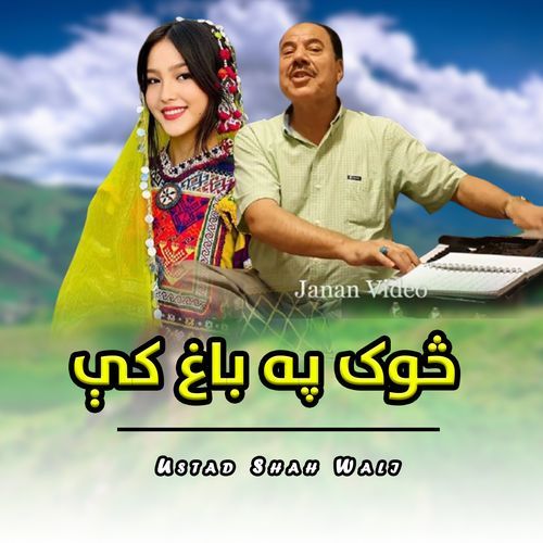 Sok Pa Baagh Ki_poster_image