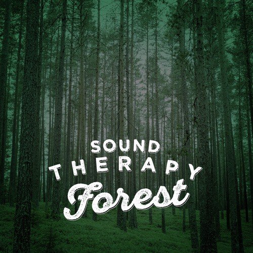 Sound Therapy: Forest