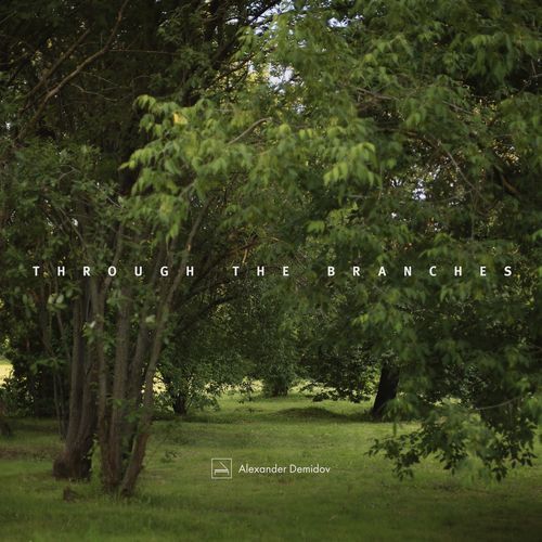 Through the Branches