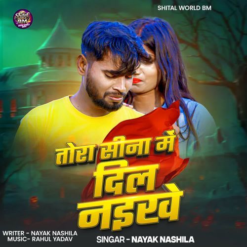 Tor Sina Me Dil Naikhe