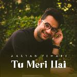 Tu Meri Hai