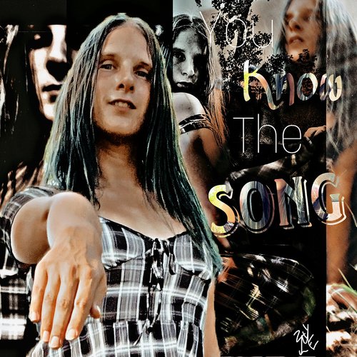 Dystrophy of Destruction cover art