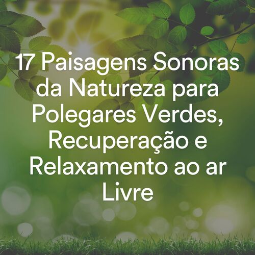 17 Paisagens Sonoras da Natureza para Polegares Verdes, Recuperação e Relaxamento ao ar Livre