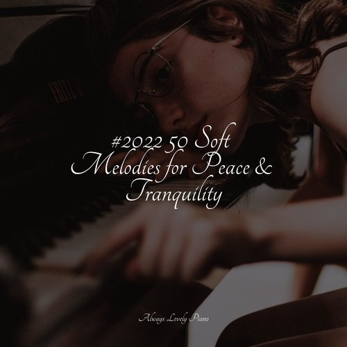 #2022 50 Soft Melodies for Peace & Tranquility