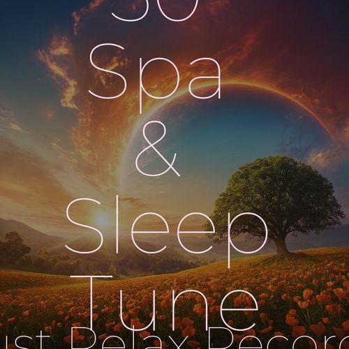 50 Spa & Sleep Tunes_poster_image