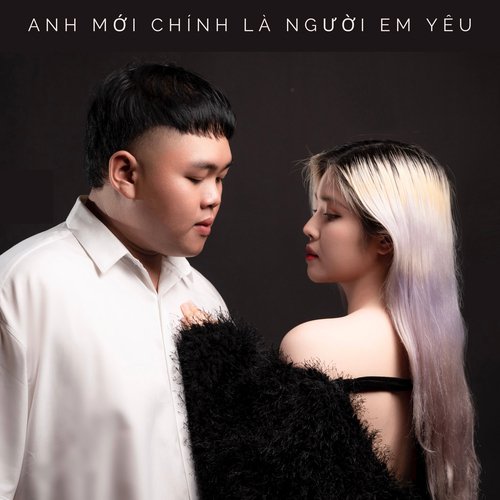 Anh Mới Chính Là Người Em Yêu_poster_image