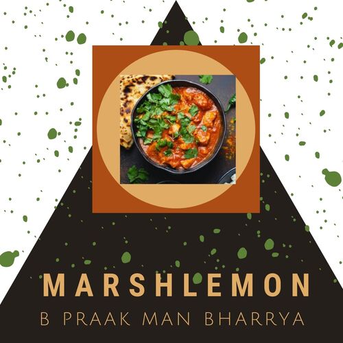 B Praak Man Bharrya cover art
