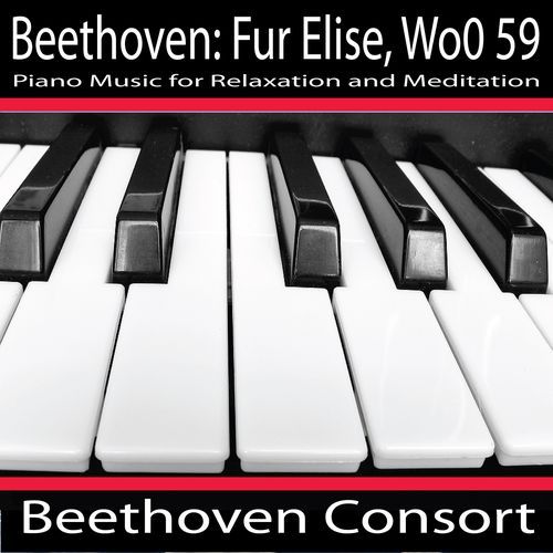 Fur Elise, Woo 59 cover art