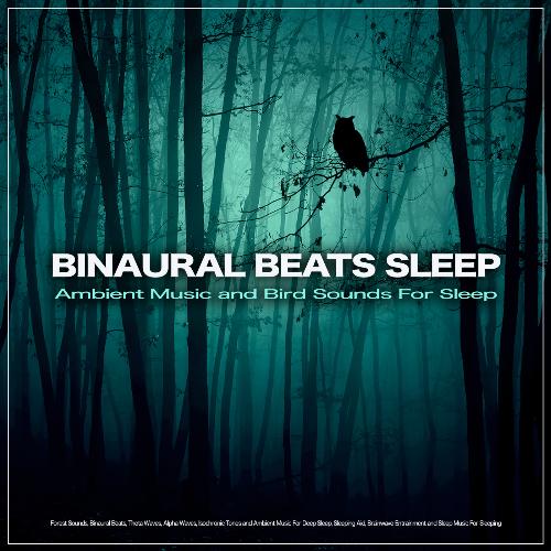 Binaural Beats Sleep: Ambient Music and Bird Sounds For Sleep, Forest Sounds, Binaural Beats, Theta Waves, Alpha Waves, Isochronic Tones and Ambient Music For Deep Sleep, Sleeping Aid, Brainwave Entrainment and Sleep Music For Sleeping