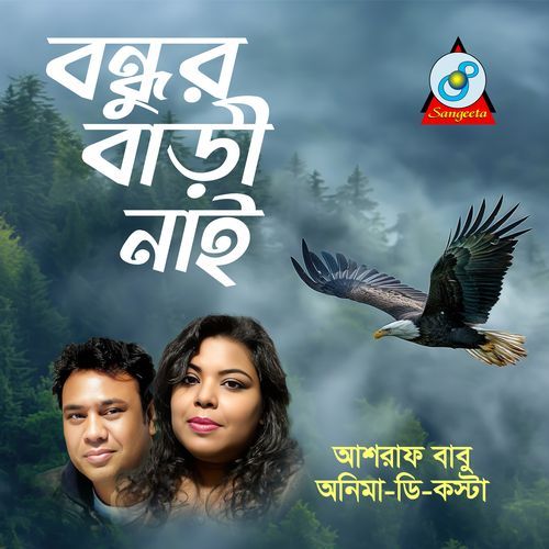 Bondhur Bari Nai
