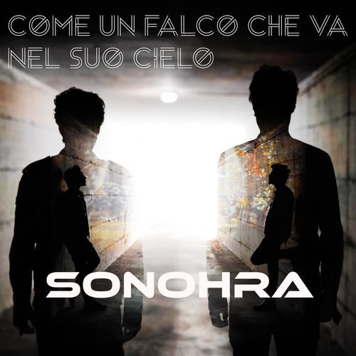 Come un falco che va nel suo cielo cover art
