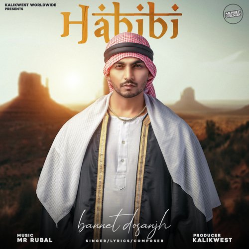 Habibi cover art