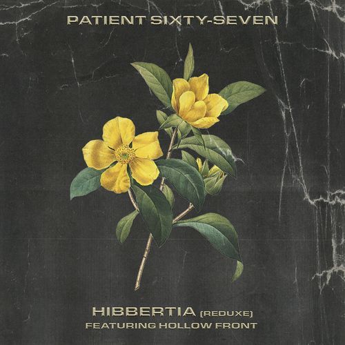 Hibbertia (Reduxe) cover art