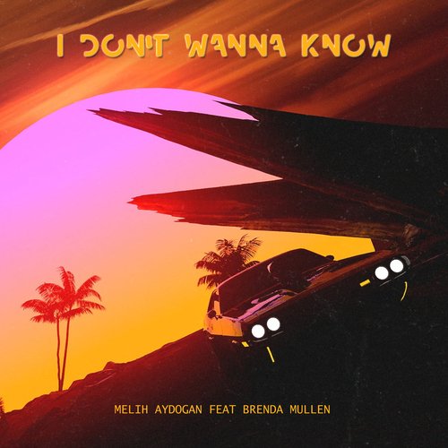 I Don&#039;t Wanna Know (feat. Brenda Mullen)_poster_image